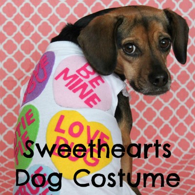 DIY Valentine Sweethearts Costume for Dogs