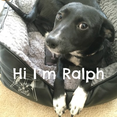 Hi I’m Ralph