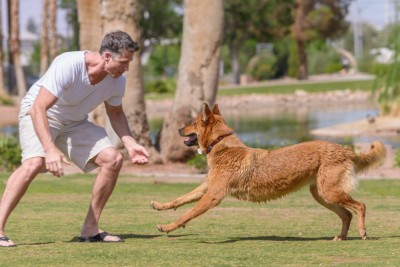 Save on Gym Fees. Exercise with Your Dog!