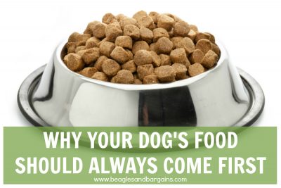 Why Your Dog’s Food Should Always Come First