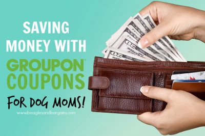 Saving Money with Groupon Coupons for Dog Moms!
