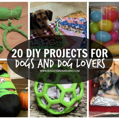 20 DIY Projects for Dogs and Dog Lovers