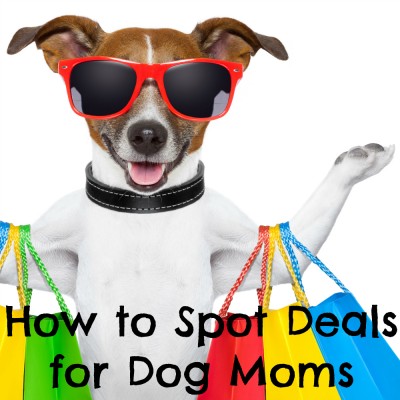 How to Spot Dog Mom Deals - Depositphotos | @damedeeso