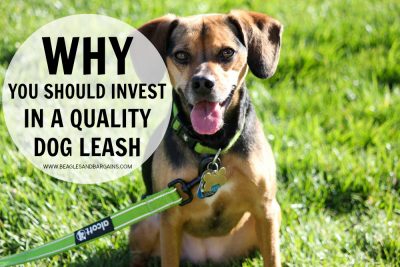Why You Should Invest in a Quality Dog Collar & Leash