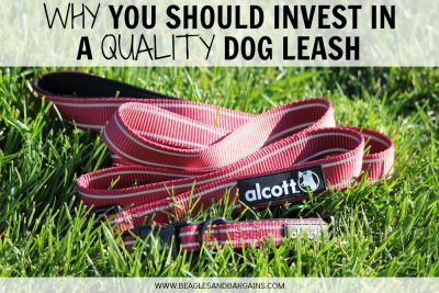Why You Should Invest in a Quality Dog Collar & Leash