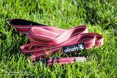 Alcott reflective dog collar and leash in red