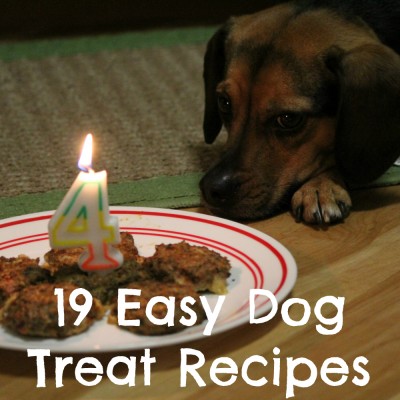 19 Easy Dog Treat Recipes