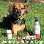 Save Money By Sharing with Your Dog!