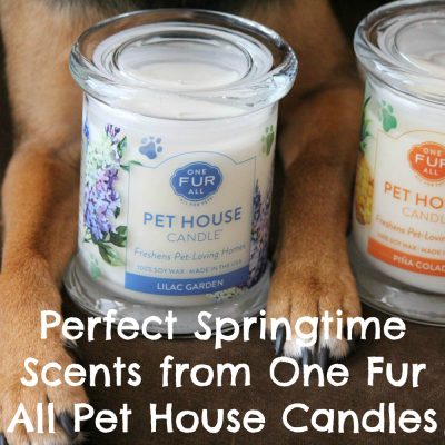 Perfect Springtime Scents from One Fur All Pet House Candles!