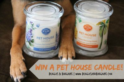 Win a Pet House Candle from One Fur All!
