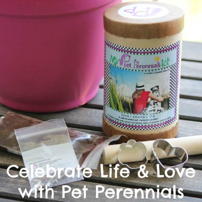 Celebrate Life & Love with Pet Perennials