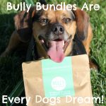 Bully Bundles Are Every Dogs Dream!