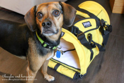 Sturdi Products SturdiBag comes in a variety of sizes and bright colors to fit your dog perfectly.
