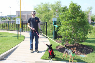 Pet Friendly Home2 Suites by Hilton has designated dog walking areas with stocked poop stations.