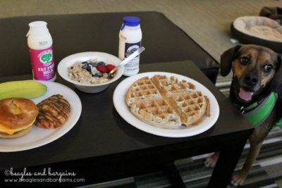 A yummy warm breakfast with oatmeal and waffles from Home2 Suites.