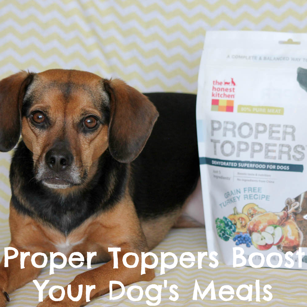 The Honest Kitchen's Versatile Proper Toppers Boost Your Dog's Meals