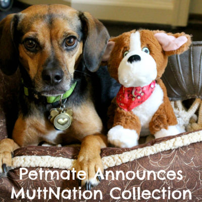 Petmate Announces All New MuttNation Collection Fueled by Miranda Lambert