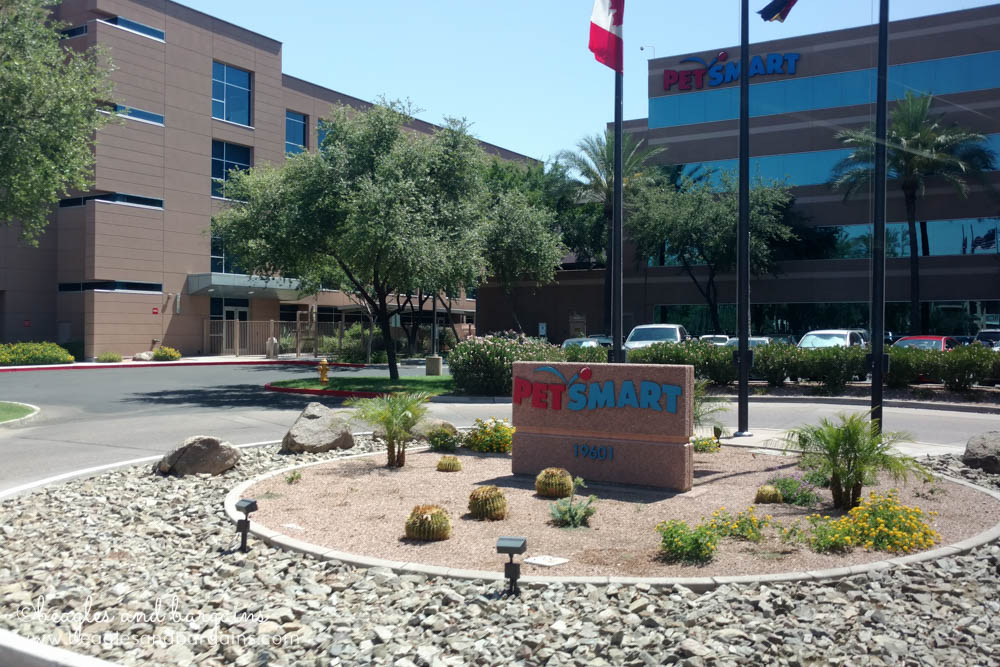 Exterior view of PetSmart's Home Office in Phoenix