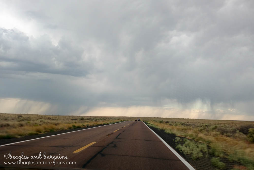 Stormy weather up ahead in Arizona - RoadTrippinBeagle
