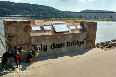 The Big Dam Bridge in Little Rock, Arkansas - RoadTrippinBeagle