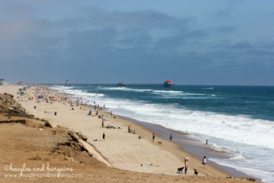 Huntington Dog Beach in California