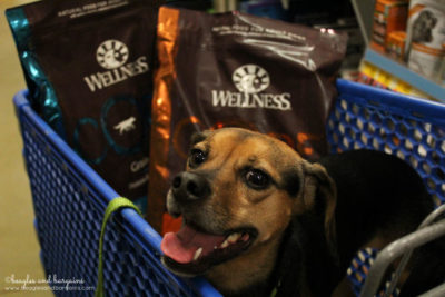 Luna is excited about trying Wellness CORE dry dog food