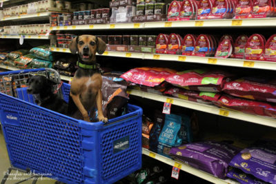 Luna and Ralph go on a shopping spree at PetSmart