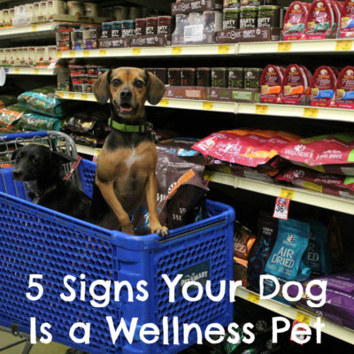 5 Signs Your Dog Is a #WellnessPet
