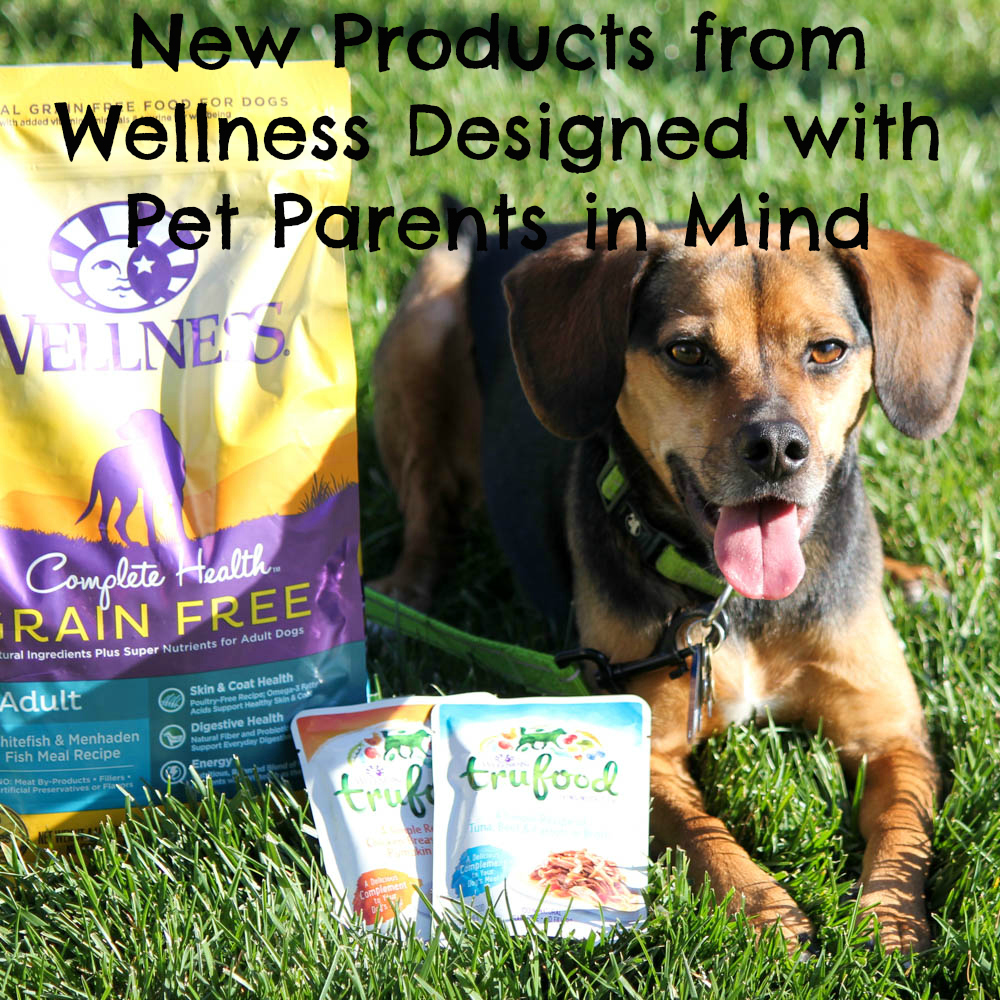 New Products from Wellness Designed with Pet Parents in Mind