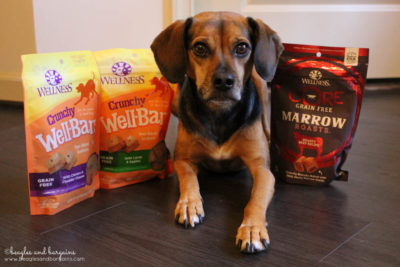 Luna with new treats from Wellness Pet Food - WellBars and CORE Marrow Roasts