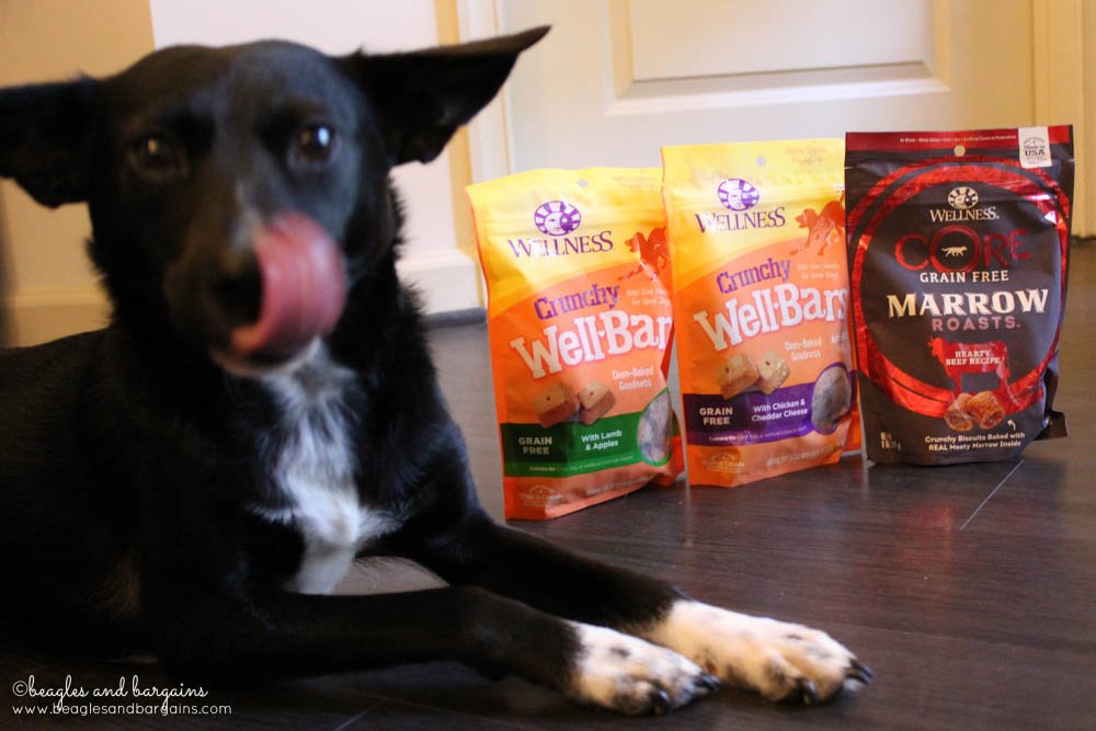 Ralph with new treats from Wellness Pet Food - WellBars and CORE Marrow Roasts