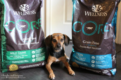 Luna can't wait to try Wellness CORE dry dog food.