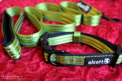 Alcott Adventure Nylon Collar and Leash in Green
