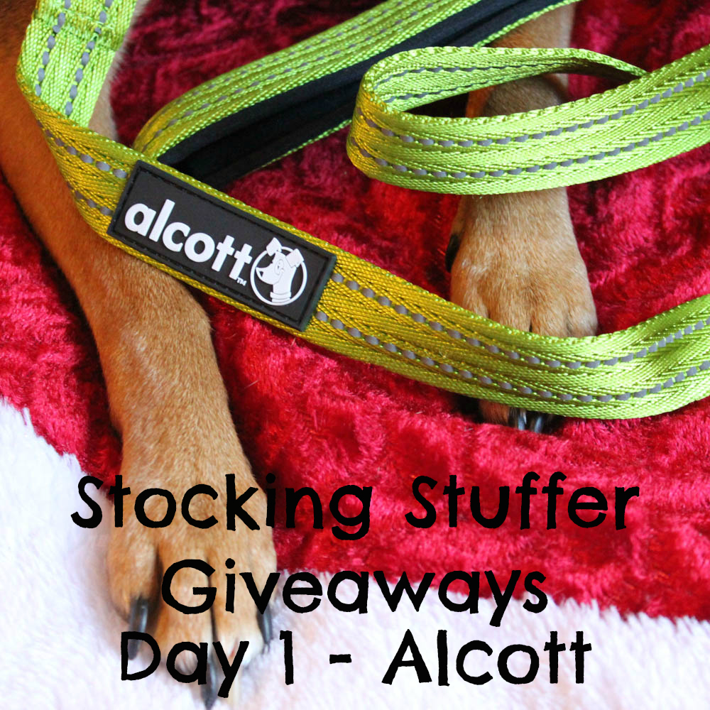 Beagles & Bargains Stocking Stuffer Giveaways 2016 - Day 1 - Alcott Adventure Collar & Leash Set