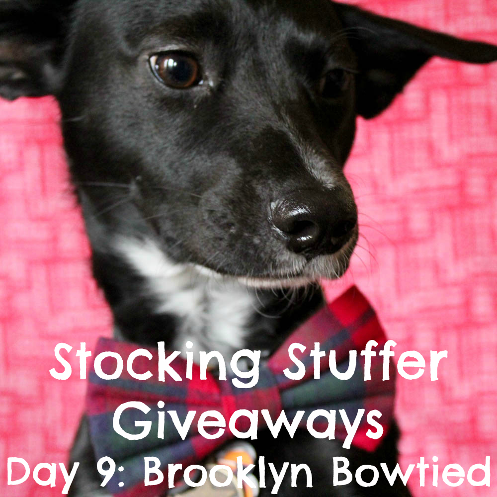 Beagles & Bargains Stocking Stuffer Giveaways 2016 - Day 9 - Brooklyn Bowtied