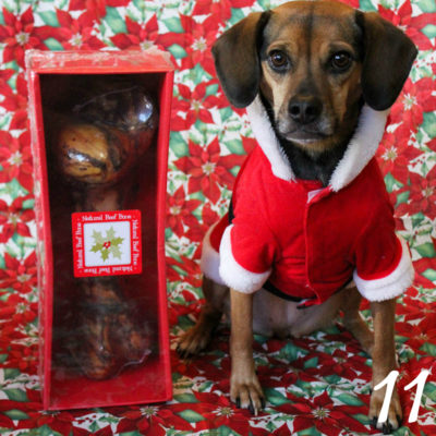 Beagles & Bargains Stocking Stuffer Giveaways 2016 - Day 11 - Jones Natural Chews