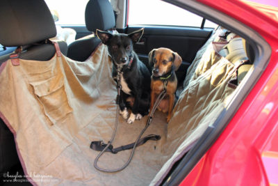 Solvit Deluxe Hammock Seat Cover protects car seats from dirty dogs on car trips