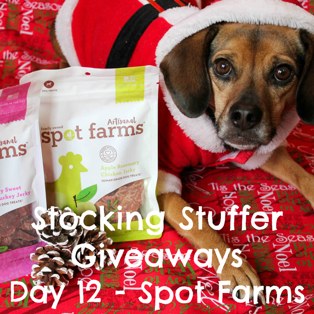 Beagles & Bargains Stocking Stuffer Giveaways 2016 - Day 12 - Spot Farms Artisanal Jerky