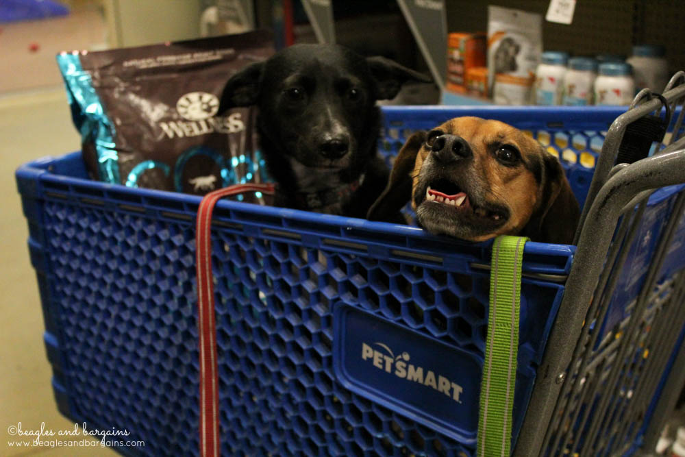 Ralph and Luna go shopping at PetSmart for Wellness Pet Food