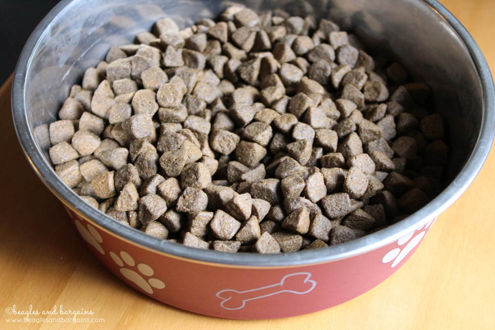 Wellness CORE dry dog food - pyramid shaped kibble.