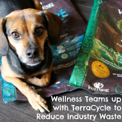 Wellness Teams up with TerraCycle to Reduce Industry Waste