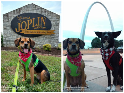 Ralph and Luna in Joplin, Missouri and St. Louis by the Arch