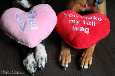 Happy Valentine's Day from Ralph and Luna at Beagles & Bargains!