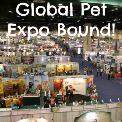 Global Pet Expo Bound! Follow #BeagleAtGPE and #GlobalPetExpo for the latest!