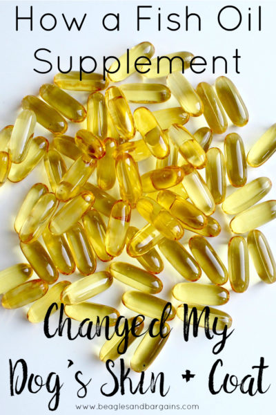 How Fish Oil Changed My Dog's Skin and Coat | Supplements for Dogs
