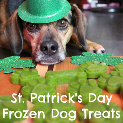 St. Patrick's Day Frozen Dog Treats - DIY Green Dog Treat Recipe