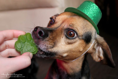 St. Patrick's Day Frozen Dog Treats - DIY Green Dog Treat Recipe