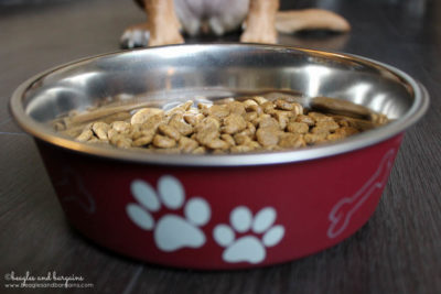 Petcurean Expands Pet Food Line with Organic, Sustainably Produced GATHER | dogs | cats