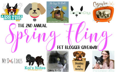 Spring Fling Pet Blogger Giveaway - Win a $250 Amazon Gift Card!