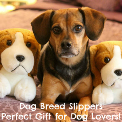 Dog Breed Slippers Are the Perfect Gift for Dog Lovers! Find out how to get yours.